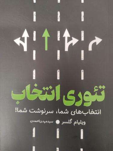 تئوری انتخاب